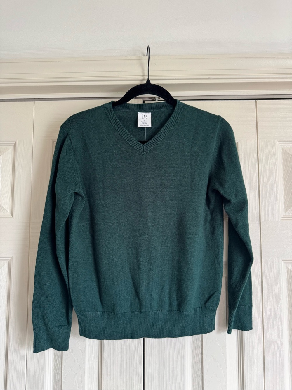 NWT Gap Kids Green V-neck Sweater Boys Size Large (10)